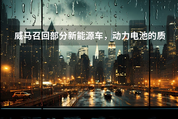 威马召回部分新能源车，动力电池的质量标准是否应该加强？ 威马E5续航曝光，nedc续航超过500公里