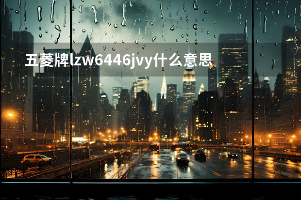 五菱牌lzw6446jvy什么意思