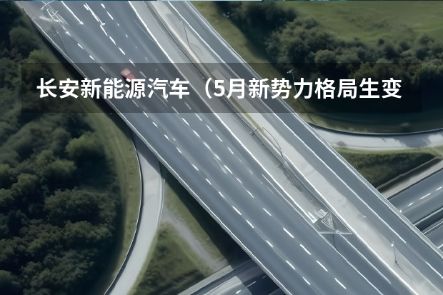 长安新能源汽车（5月新势力格局生变，自主品牌崛起之势有目共睹）