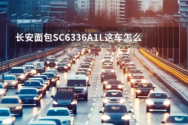 长安面包SC6336A1.L这车怎么样