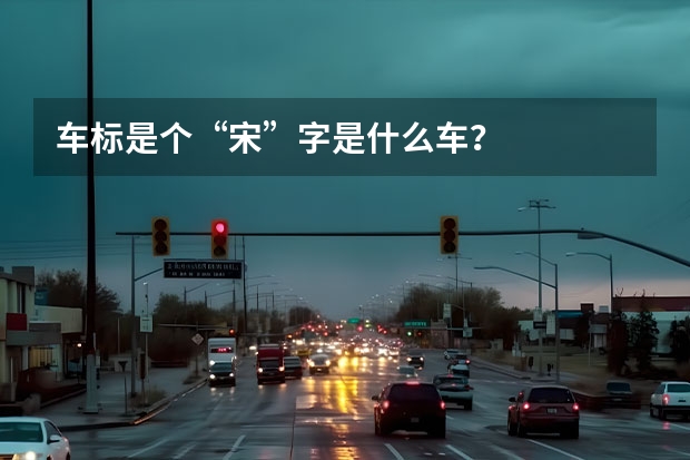 车标是个“宋”字是什么车？